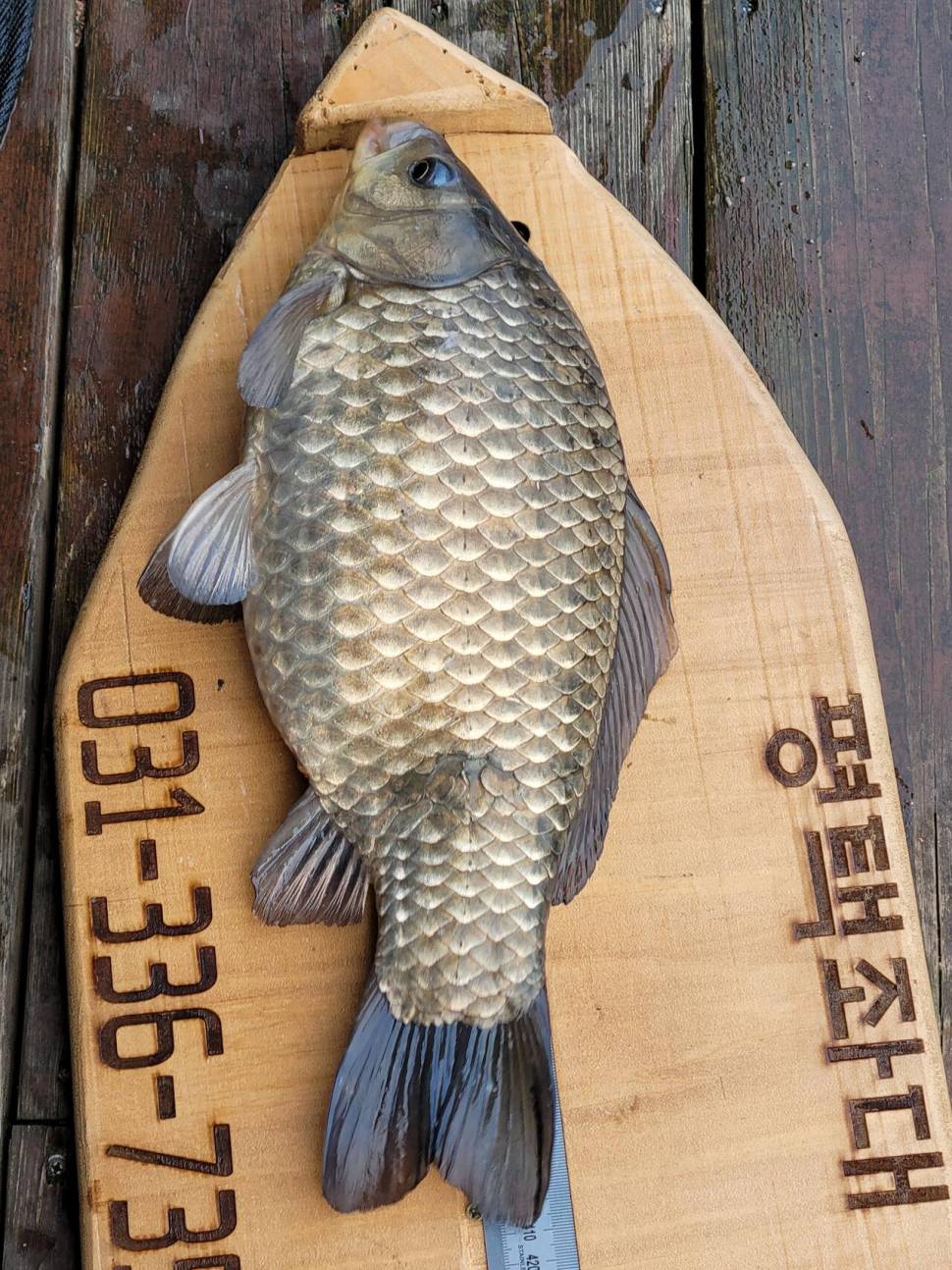 2021년3월14일 송전지 평택죄대 주말조황입니다 (유료터정보 - 유료터점주조황)