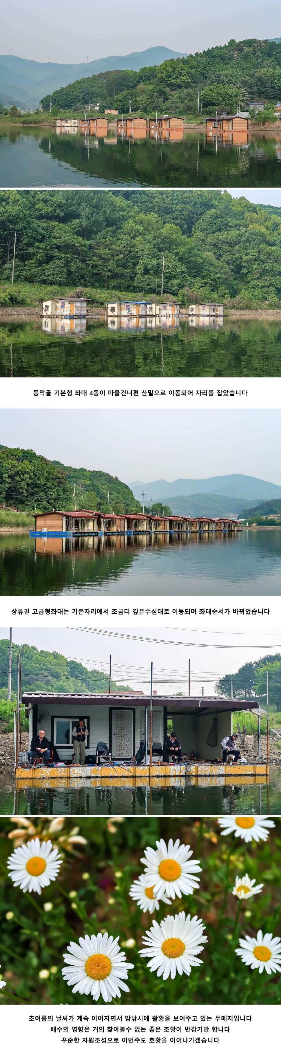 안성 두메낚시터 5월 15일 조황정보 (유료터정보 - 유료터점주조황)