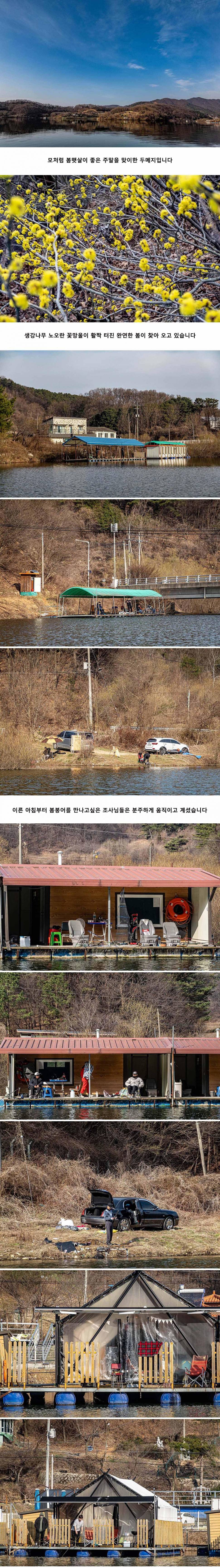 안성 두메낚시터 3월 24일 조황정보 (유료터정보 - 유료터점주조황)