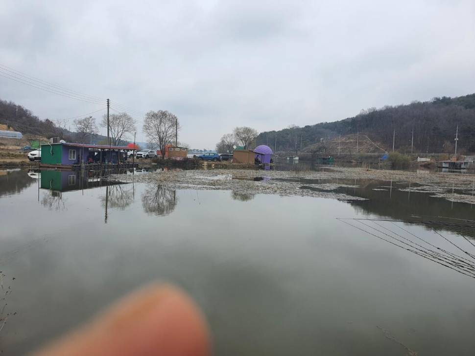 가교리 낚시터 3월 22일 조황입니다 (유료터정보 - 유료터점주조황)