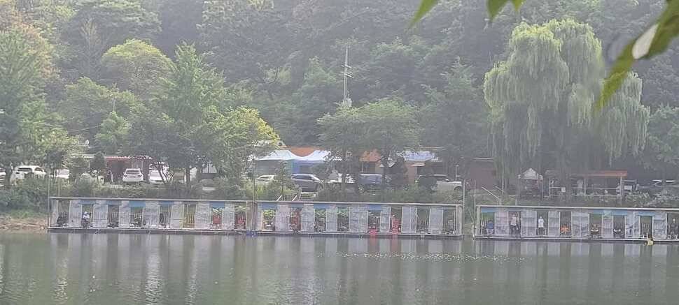 피서 여름낚시 힐링 수곡낚시터 금요일토요일 조황소식 입니다 (유료터정보 - 유료터점주조황)