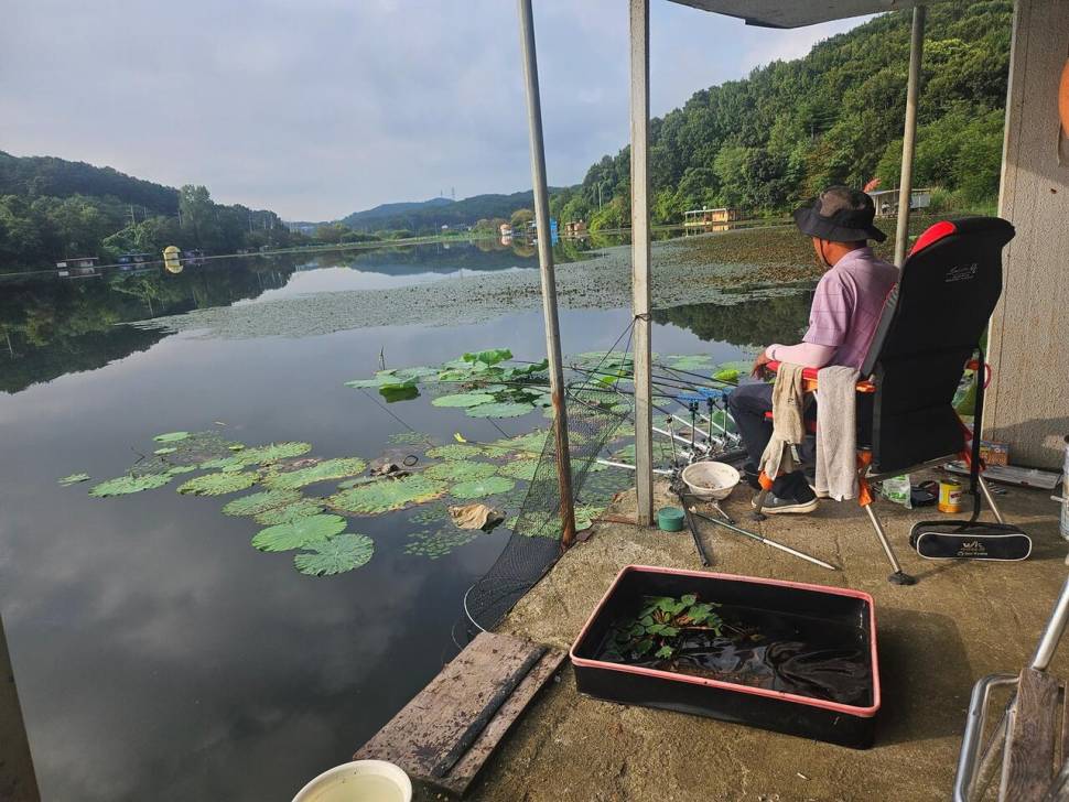당진 가교리 낚시터 8월 27일 조황입니다 (유료터정보 - 유료터점주조황)