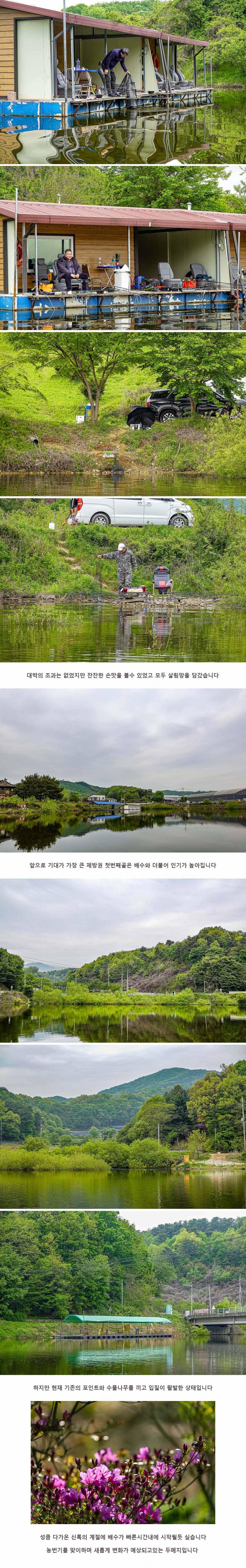 안성 두메낚시터 4월 29일 조황정보 (유료터정보 - 유료터점주조황)