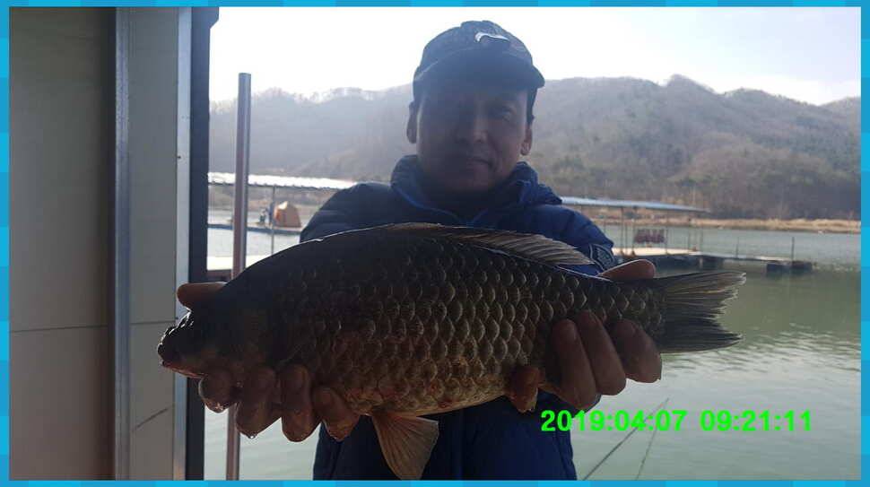 신원낚시터 토종대물 4짜 소식입니다 (유료터정보 - 유료터점주조황)