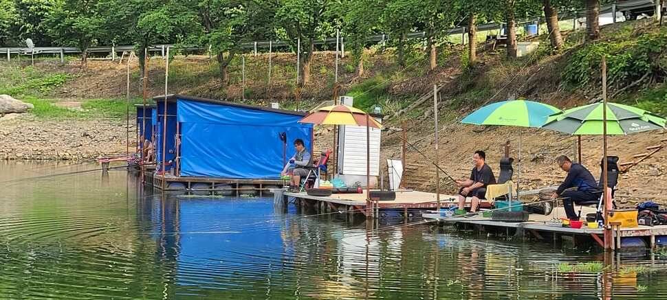 공주 고성낚시터 입니다 (유료터정보 - 유료터점주조황)