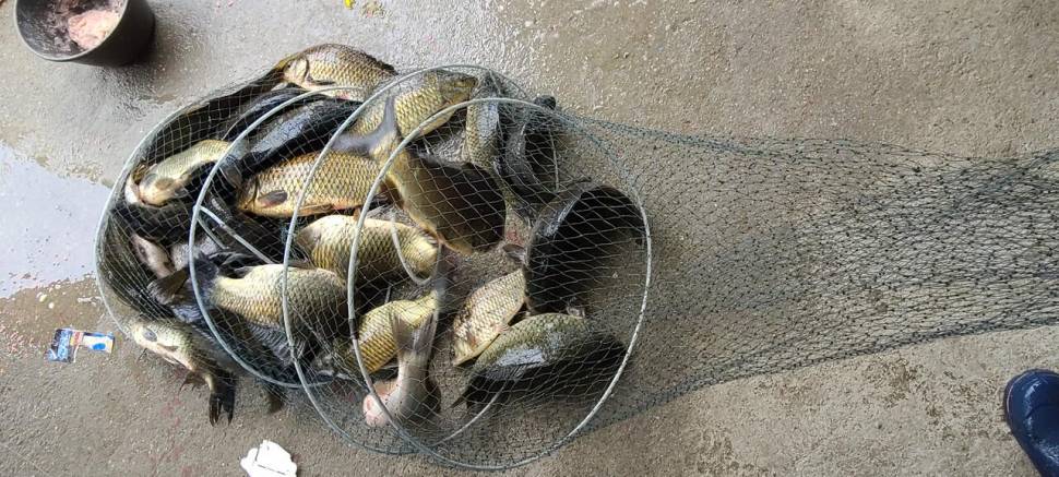 양평 힐링 수곡낚시터 5월둘재주 토일요일 조황 및 붕어방류 (유료터정보 - 유료터점주조황)