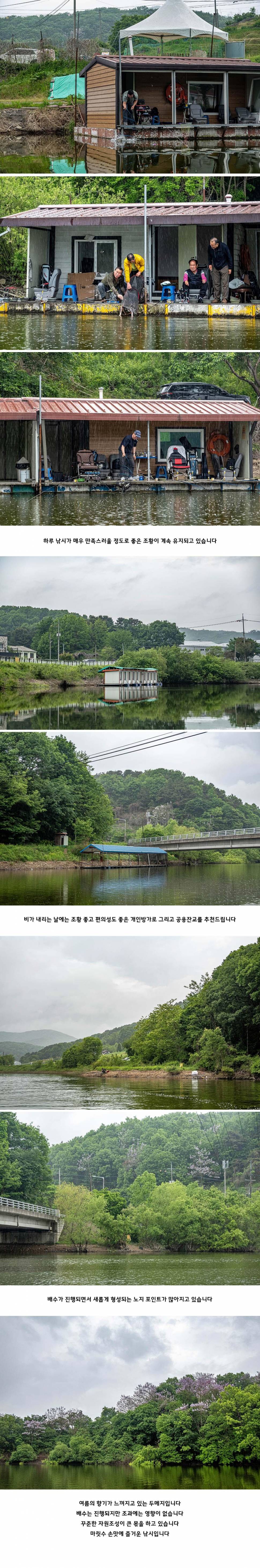 안성 두메낚시터 5월 16일 조황정보 (유료터정보 - 유료터점주조황)