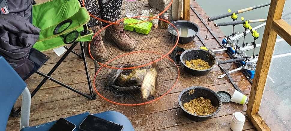 수곡지 양평 수곡낚시터 주말 조황 및 방류소식 안내드립니다 (유료터정보 - 유료터점주조황)