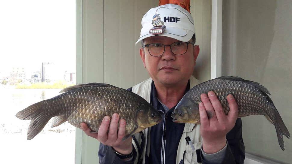 송전지 창신좌대 조황정보 (유료터정보 - 유료터점주조황)