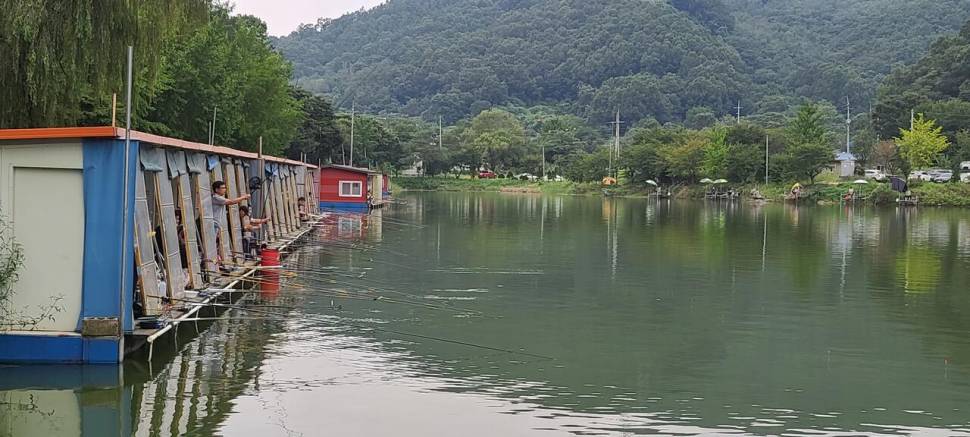 9월첫주말 양평 힐링 수곡낚시터 금토 조과차이가 많았네요 (유료터정보 - 유료터점주조황)