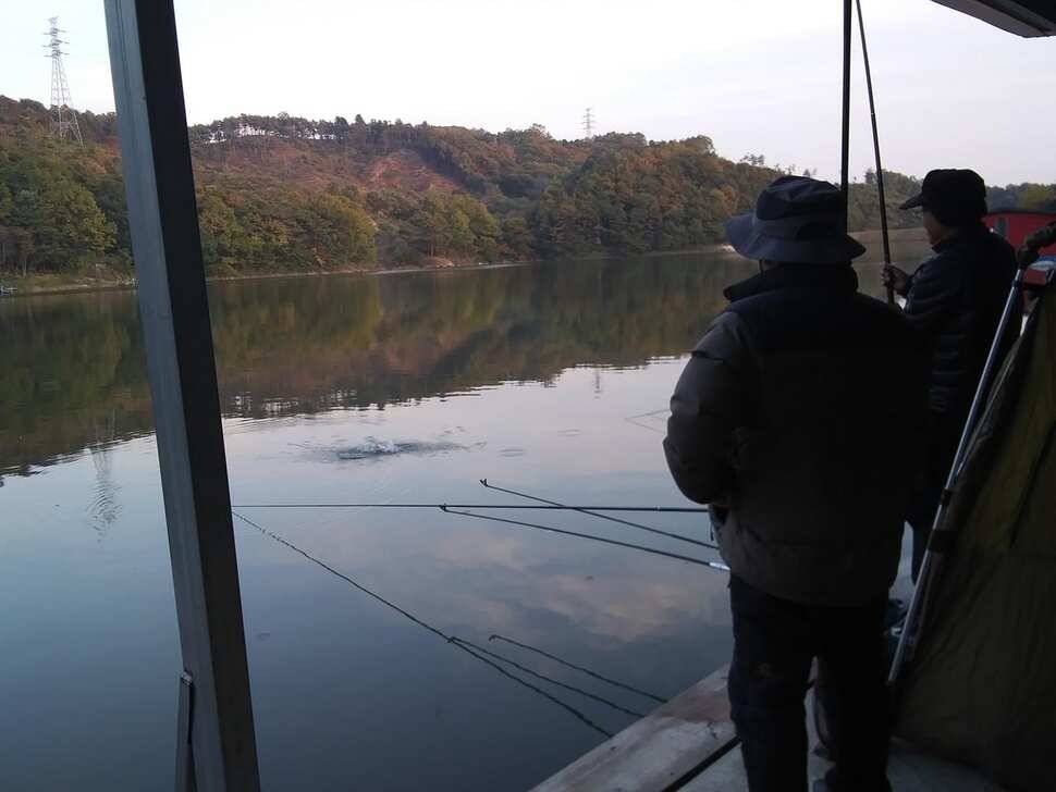 수곡낚시터 4짜 대물붕어가 또 나왔습니다 주말 조황 붕어방류 소식전합니다 (유료터정보 - 유료터점주조황)