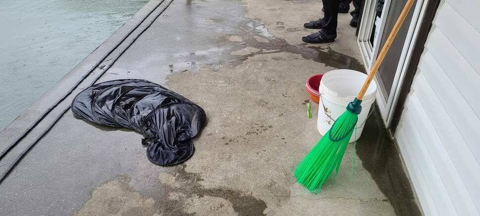 공주 고성낚시터 입니다 (유료터정보 - 유료터점주조황)