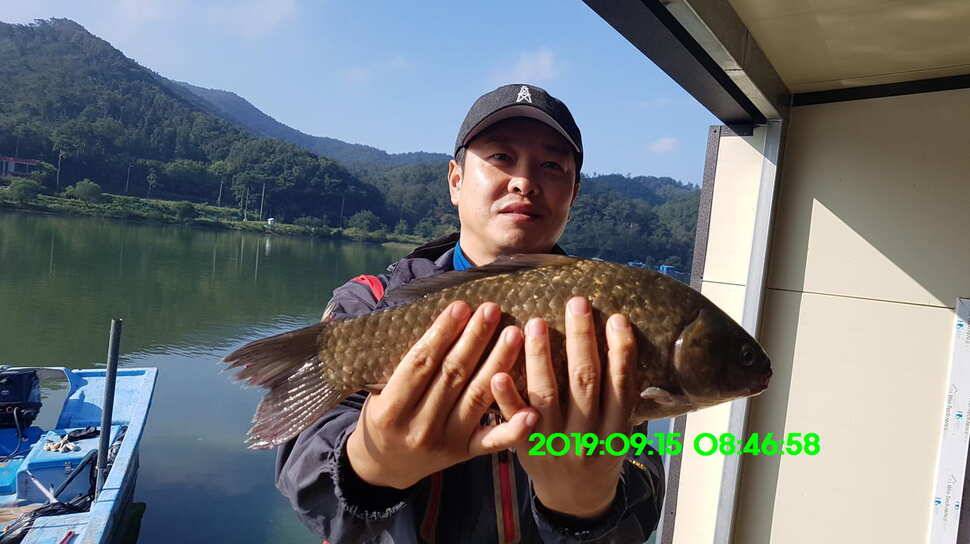 신원낚시터 토종대물 덩어리와 4짜가 마릿수로 (유료터정보 - 유료터점주조황)