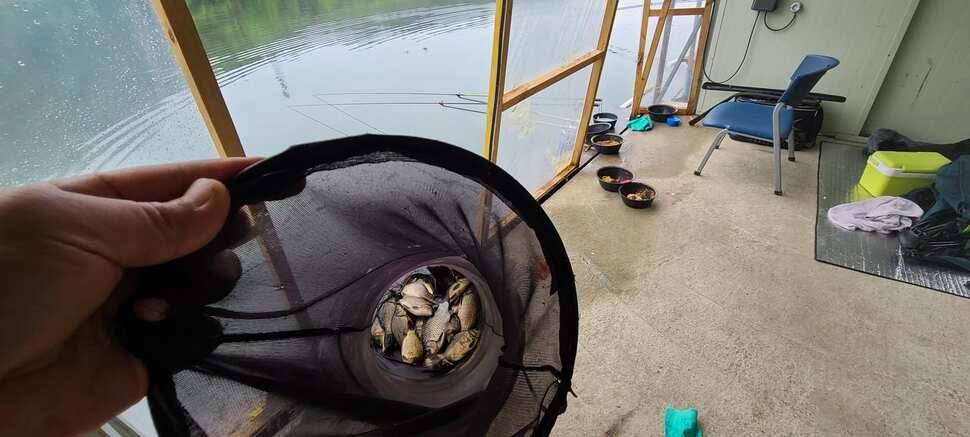 수곡지 양평 수곡낚시터 주말 조황 및 방류소식 안내드립니다 (유료터정보 - 유료터점주조황)