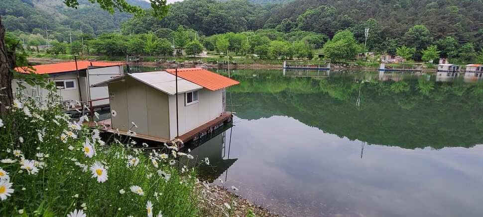 수곡지 양평 수곡낚시터 5월네째주 주말 조황 입질시간대 파악이 중요한듯합니다 (유료터정보 - 유료터점주조황)