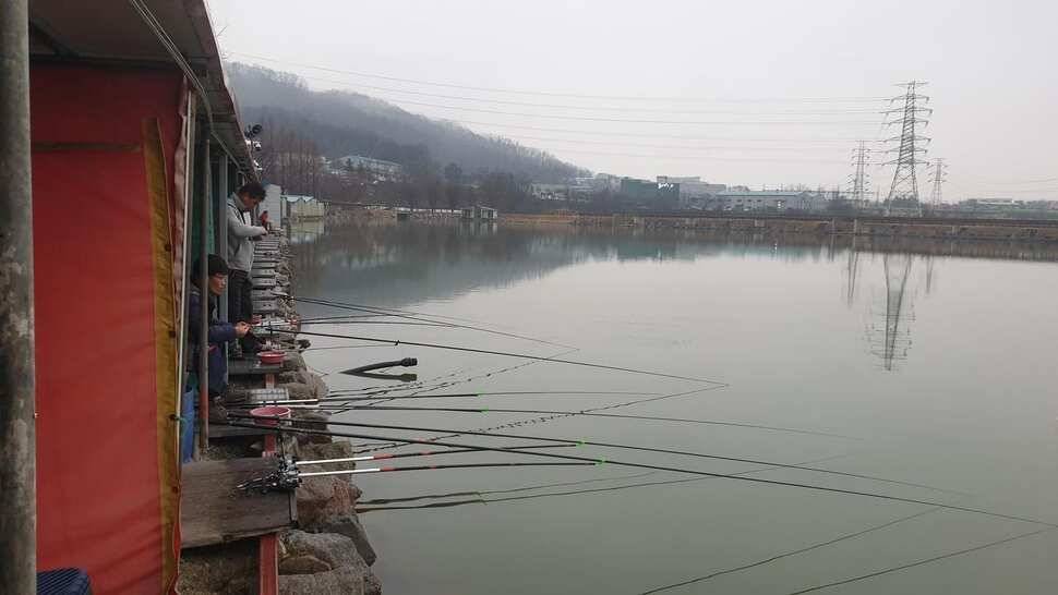 안성 거청낚시터 2월 13일 붕어조황 (유료터정보 - 유료터점주조황)