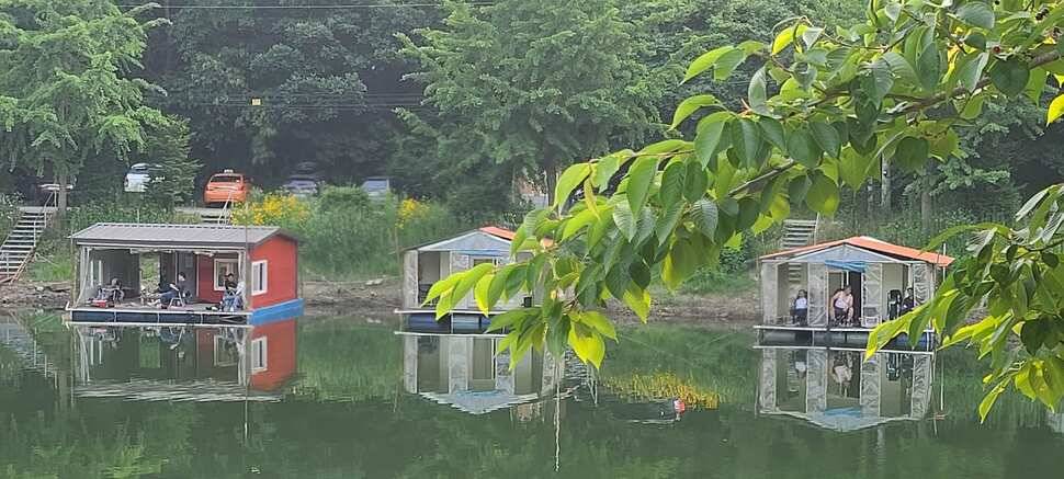 수곡낚시터 주초출발 조황 좋습니다 금일 방류합니다 (유료터정보 - 유료터점주조황)