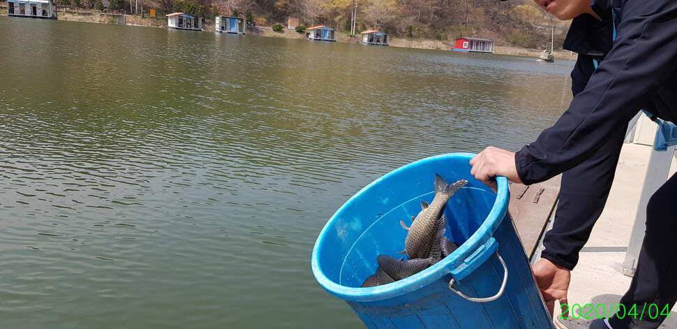 양평 수곡낚시터 4월 첫주 주말조황 및 수상좌대 할인요금 붕어방류 안내 (유료터정보 - 유료터점주조황)