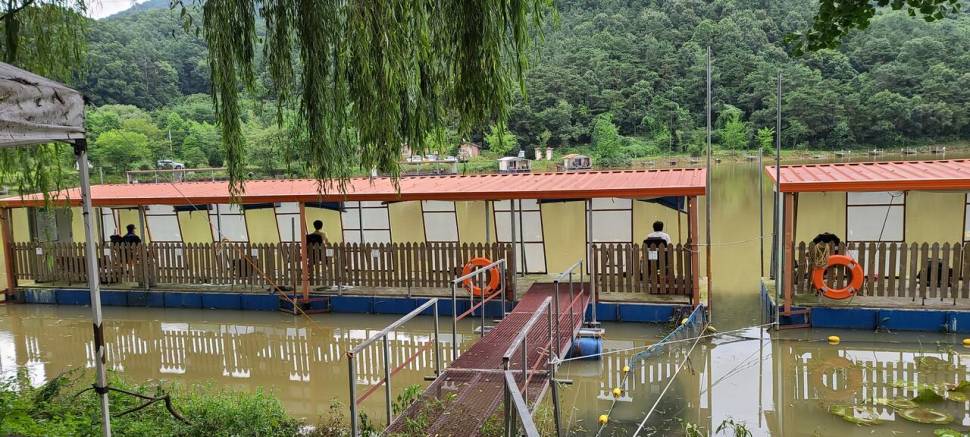 8월둘째주 주말 양평 수곡낚시터 조황 붕어방류 (유료터정보 - 유료터점주조황)