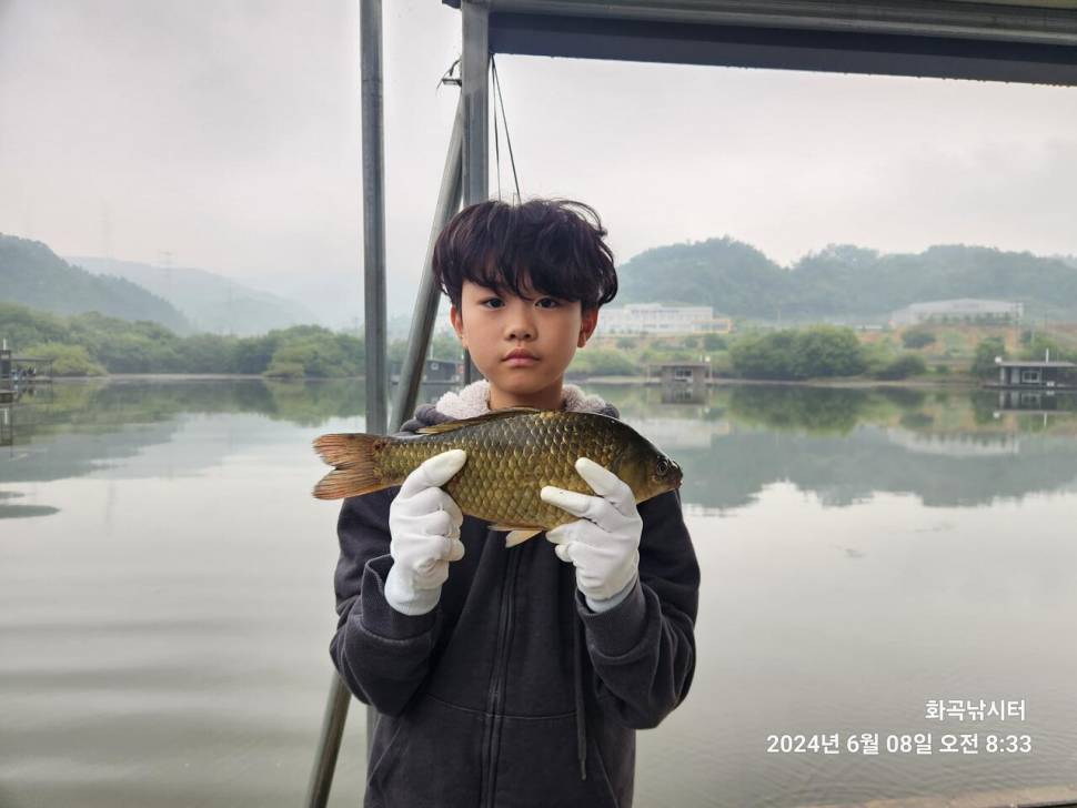 화곡낚시터 주말조황 (유료터정보 - 유료터점주조황)