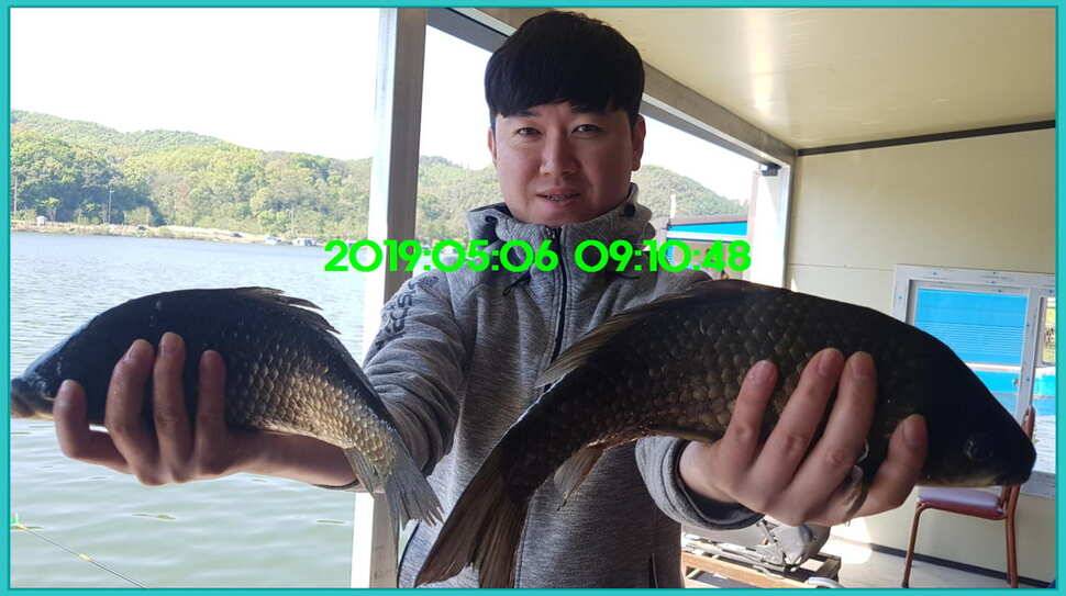 신원낚시터 토종대물 덩어리와 4짜가 계속 나옵니다쭉 (유료터정보 - 유료터점주조황)
