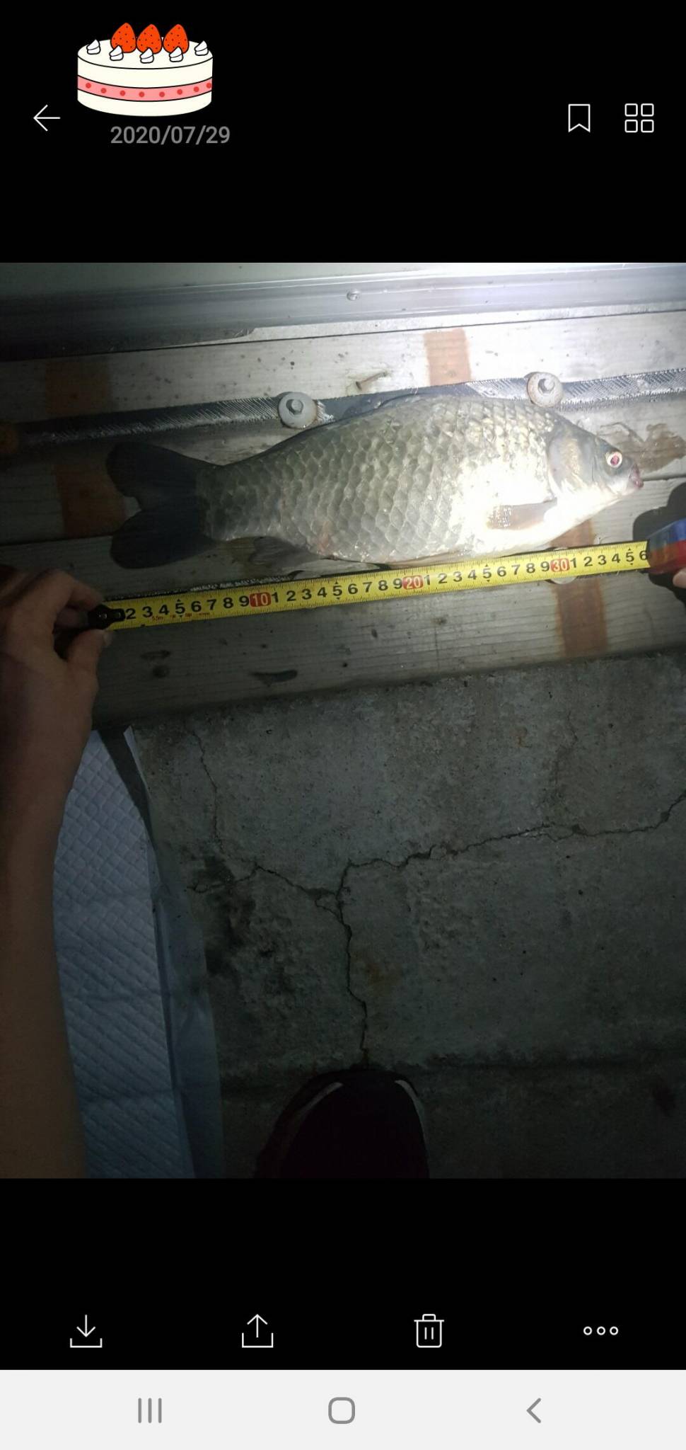 신원낚시터 8월16일 토종붕어 4짜와 덩어리 사진입니다 (유료터정보 - 유료터점주조황)