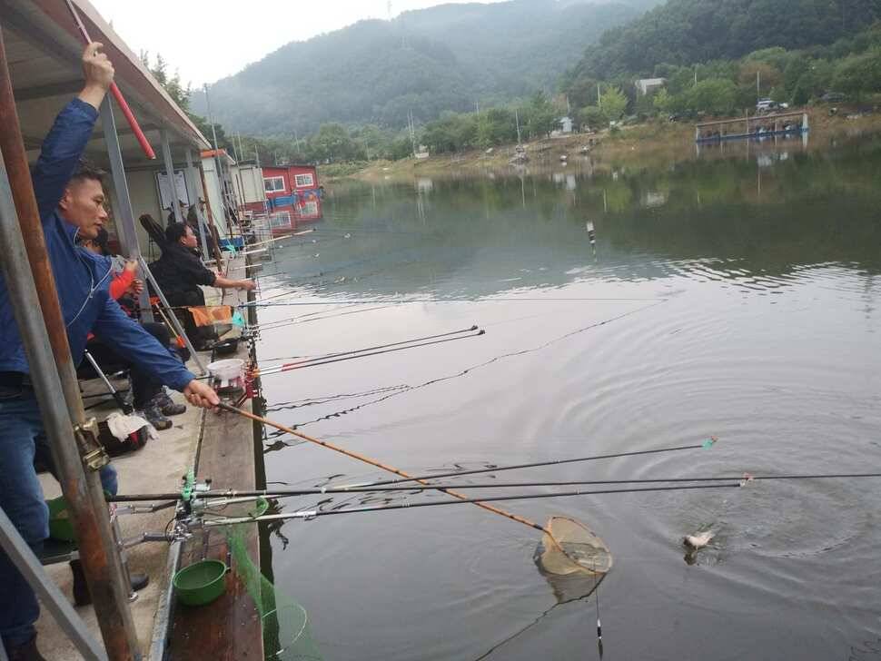 힐링 수곡낚시터 주말금요일 큰편차없이 고른 조황이 나옵니다 (유료터정보 - 유료터점주조황)