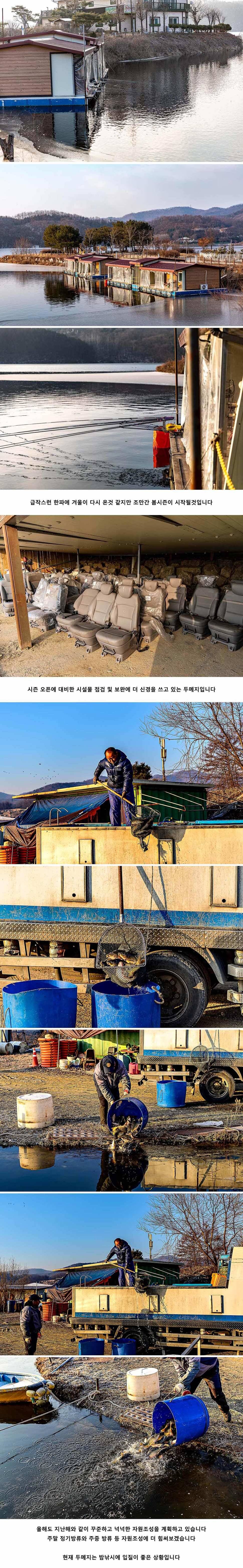 안성 두메낚시터 2월 8일 조황정보 (유료터정보 - 유료터점주조황)