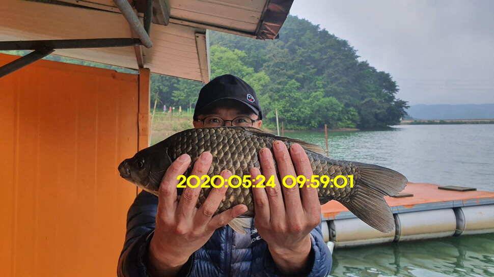 신원낚시터 5월25일 토종대물 43짜리와 덩어리 사진입니다 (유료터정보 - 유료터점주조황)