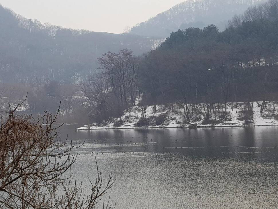 아름다운계곡속에자리잡은장계지에서 (유료터정보 - 유료터점주조황)