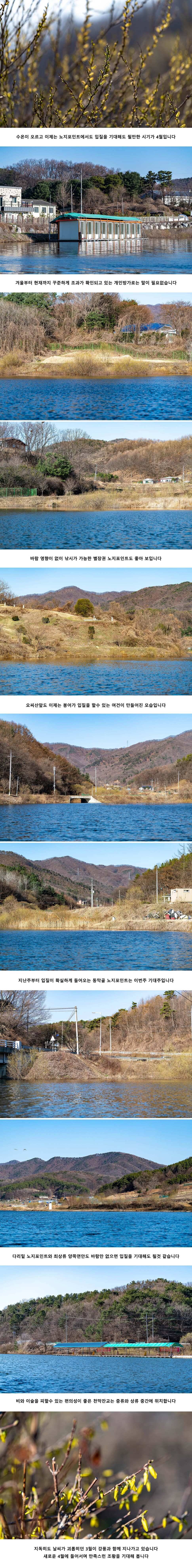 안성 두메낚시터 4월 1일 조황정보 (유료터정보 - 유료터점주조황)