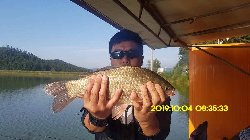 용인 신원낚시터 토종대물48짜리 구경하고 가시겠습니다 (유료터정보 - 유료터점주조황)