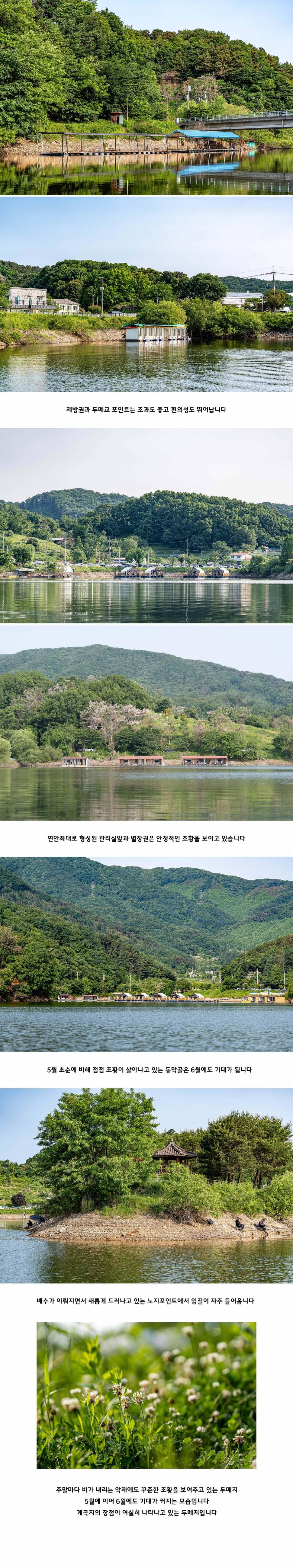 안성 두메낚시터 5월 25일 조황정보 (유료터정보 - 유료터점주조황)