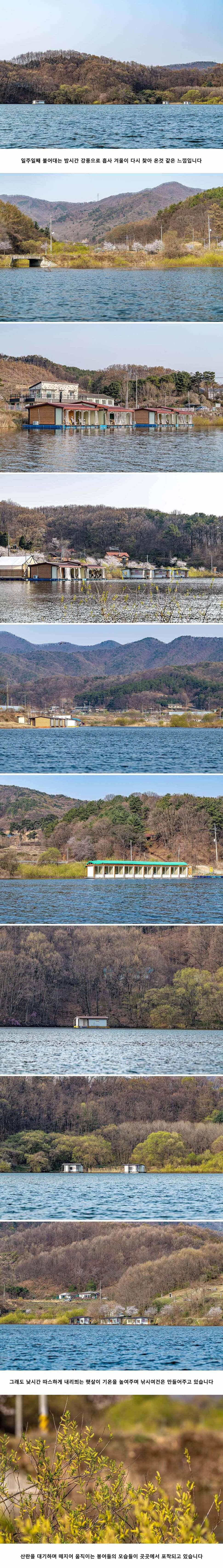 안성 두메낚시터 4월 9일 조황정보 (유료터정보 - 유료터점주조황)