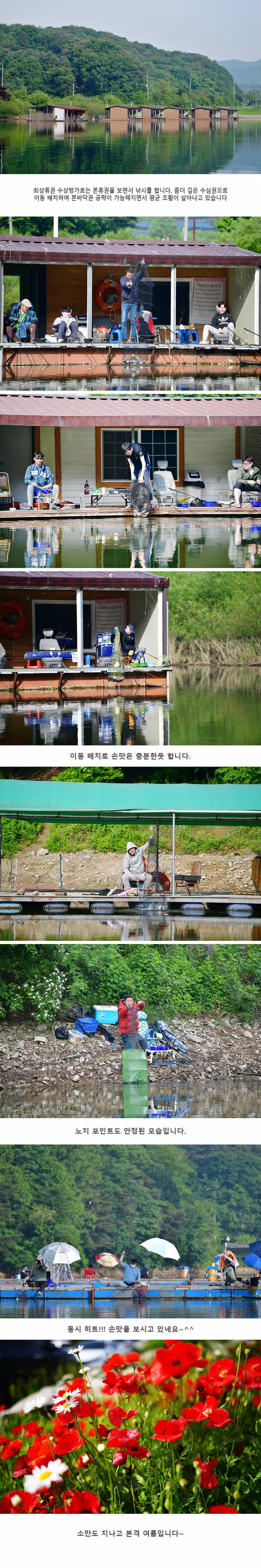 안성 두메낚시터 5월23일 조황안내 (유료터정보 - 유료터점주조황)