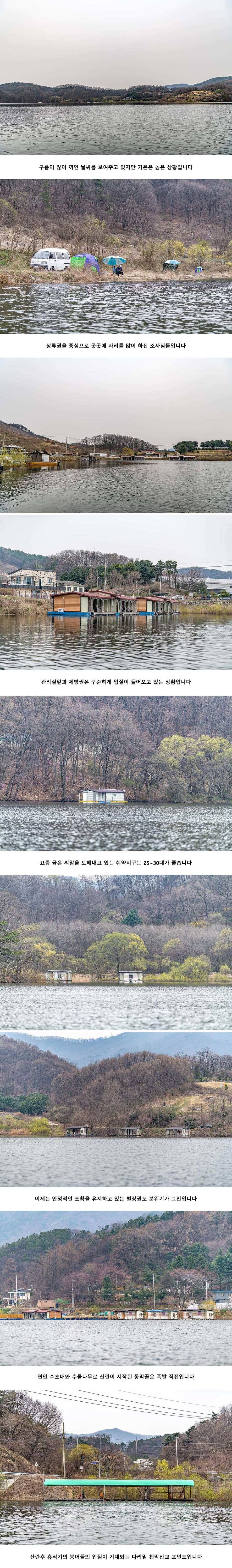 안성 두메낚시터 4월 1일 조황정보 (유료터정보 - 유료터점주조황)
