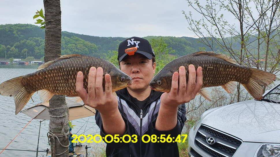 신원낚시터6일 토종대물 4짜와 덩어리가 터졌습니다 (유료터정보 - 유료터점주조황)