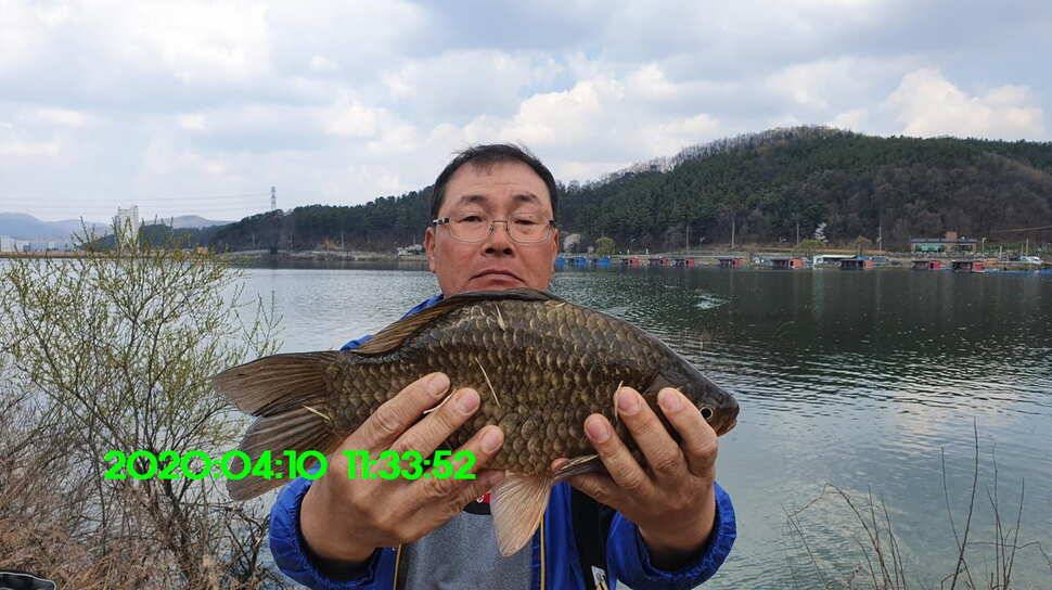 신원낚시터4월17일 토종대물 붕어 방류와 조황 소식입니다 (유료터정보 - 유료터점주조황)