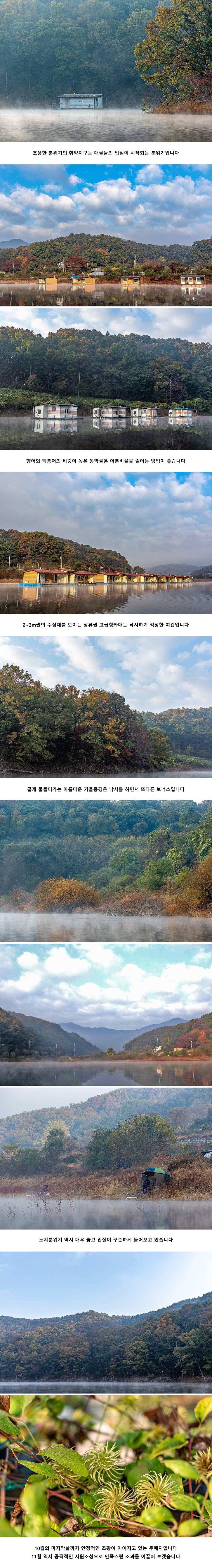 안성 두메낚시터 10월 31일 조황정보 (유료터정보 - 유료터점주조황)