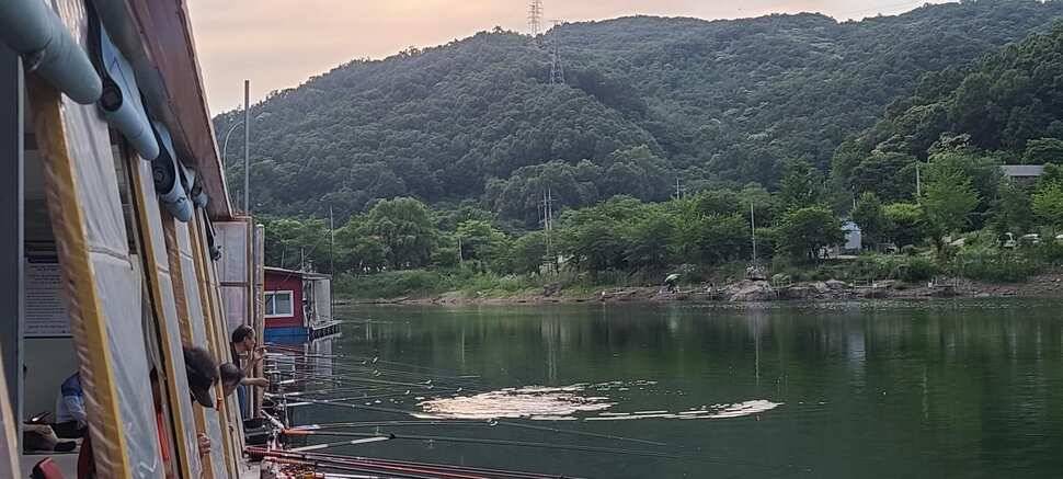 양평낚시터 수곡낚시터 주말 조황 및 붕어 방류소식 전합니다 (유료터정보 - 유료터점주조황)