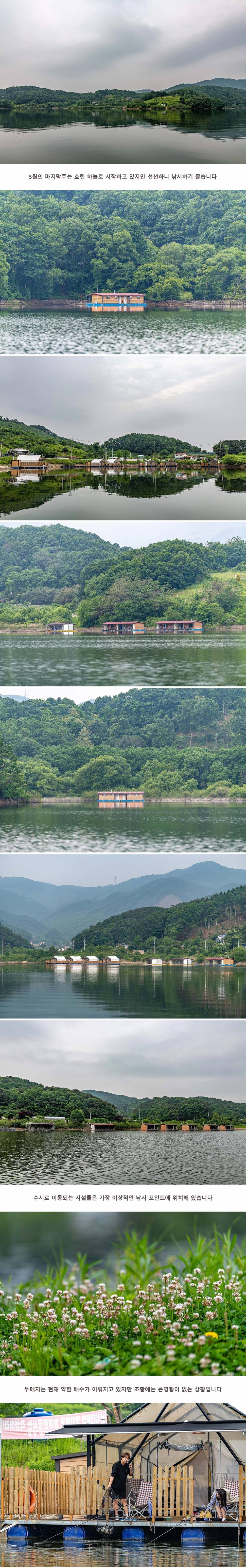 안성 두메낚시터 5월 24일 조황정보 (유료터정보 - 유료터점주조황)