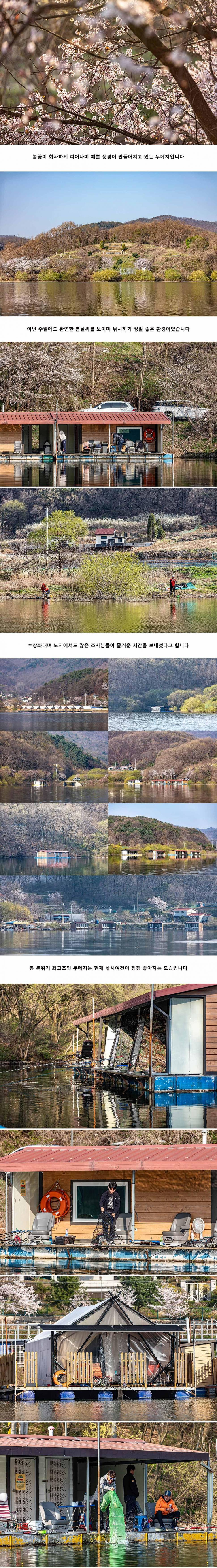 안성 두메낚시터 4월 7일 조황정보 (유료터정보 - 유료터점주조황)