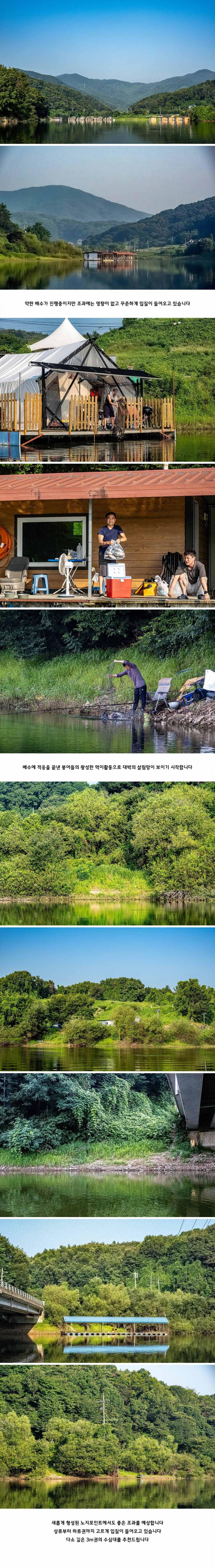 안성 두메낚시터 7월 29일 조황정보 (유료터정보 - 유료터점주조황)