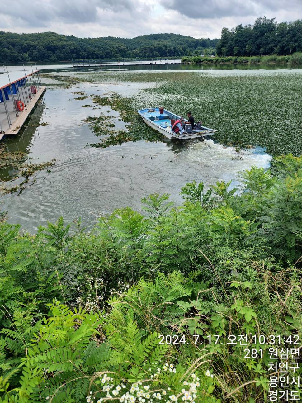 2024년 7월 셋째주 조황정보 용담낚시터사암지4짜 0마리 (유료터정보 - 유료터점주조황)