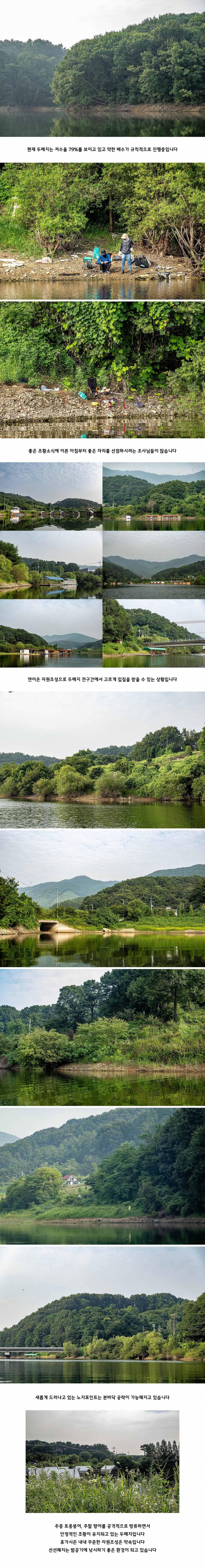 안성 두메낚시터 8월 10일 조황정보 (유료터정보 - 유료터점주조황)