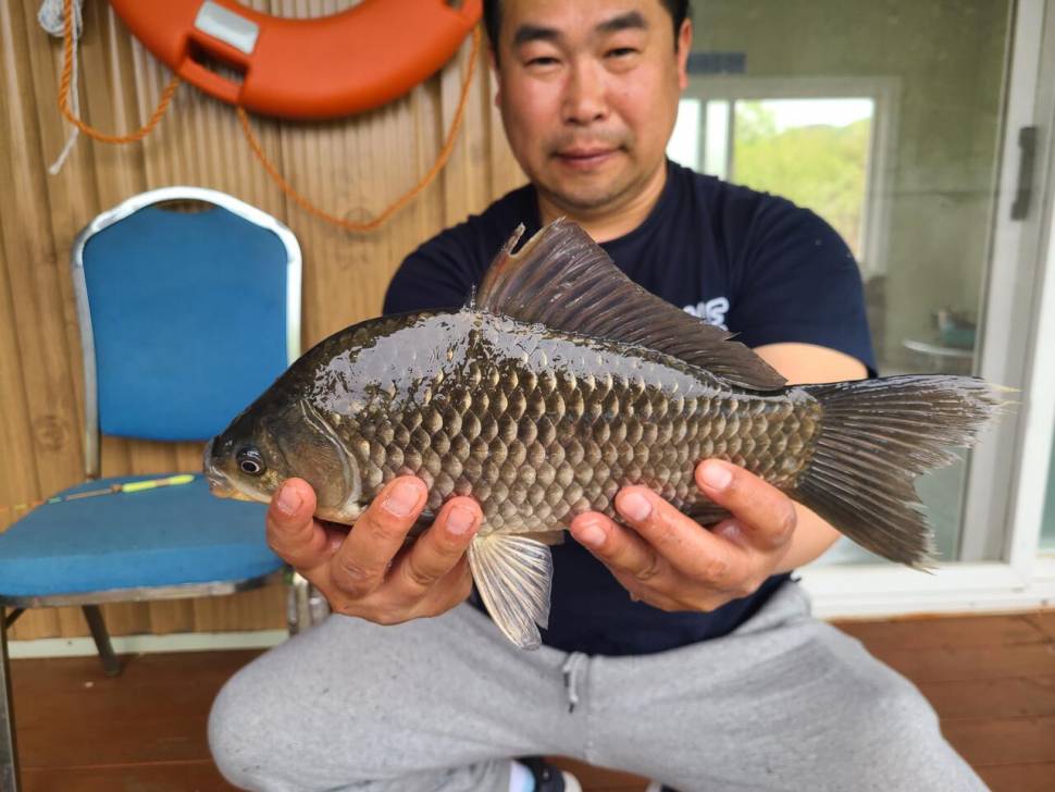 사짜와 대면 한다 (유료터정보 - 유료터점주조황)