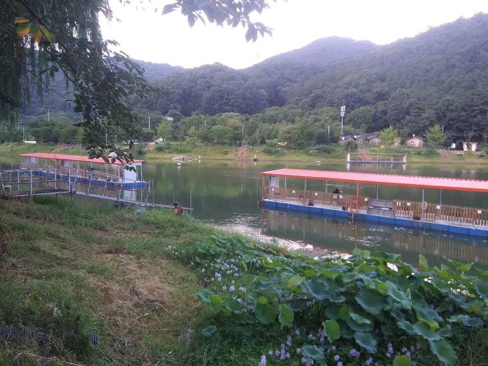 양평 수곡낚시터 주중 붕어조황 오늘도 고르고 꾸준한 조황이 이어지네요 오늘 붕어방류 마쳤습니다 (유료터정보 - 유료터점주조황)