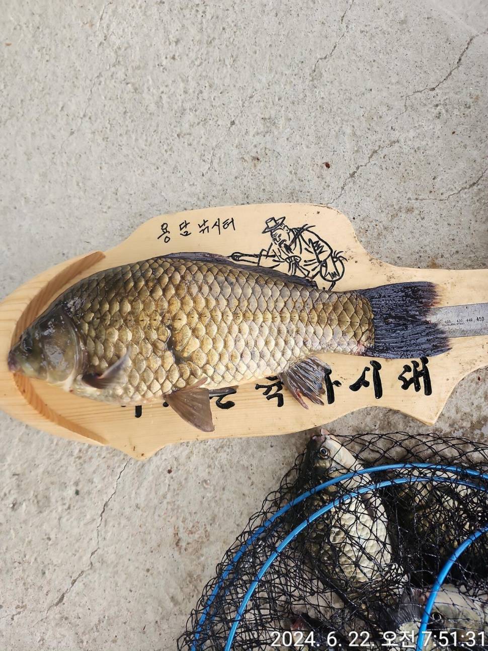 2024년 6월 넷째주 조황정보 용담낚시터사암지 22일토요일 비오는날 사짜만 12마리 (유료터정보 - 유료터점주조황)