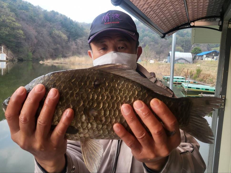 계속되는 4짜 퍼레이드 (유료터정보 - 유료터점주조황)