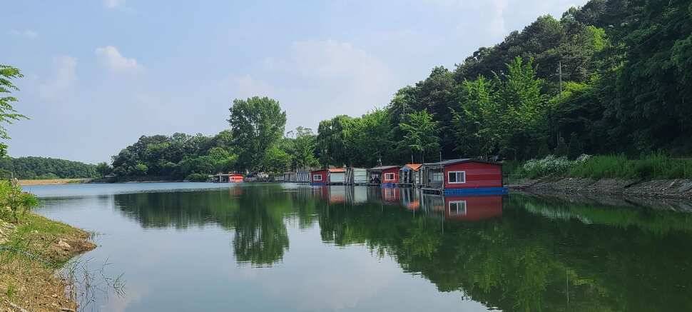 양평낚시터 수곡낚시터 주중조황이 꾸준히 좋네요 오늘도 방류 완료했습니다 (유료터정보 - 유료터점주조황)